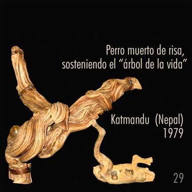 árbol de la vida