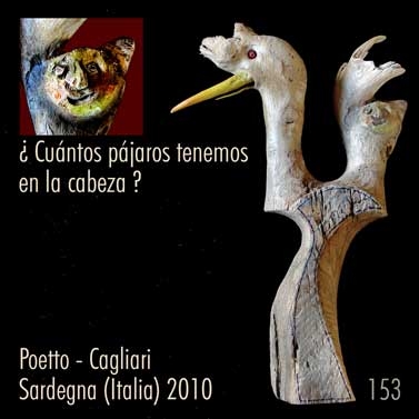 ¿Cuántos pájaros tenemos en la cabeza?